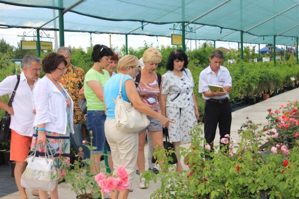 Семинар по розам Семинар по розам
